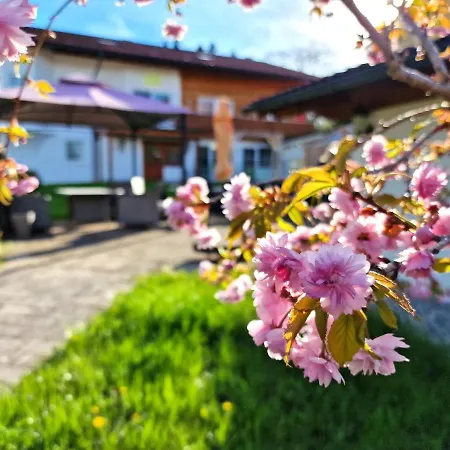 Apartman Ferienwohnanlage 